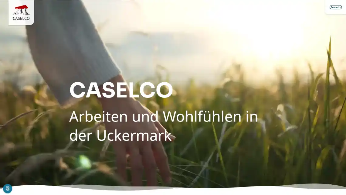 Screenshot der CASELCO Webseite