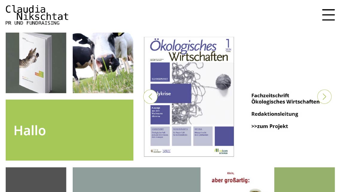 Screenshot der Webseite